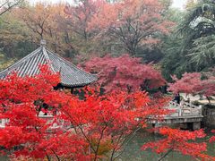 -虞山风景区