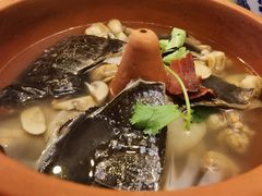 汽锅甲鱼-山外山菜馆(玉泉路店)