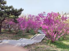 -贮水山儿童公园