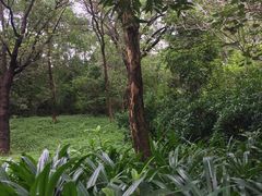 -人民公园(罗湖区)