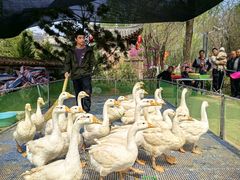 -渭南桃花源民俗文化园