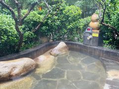-西安国际创新人才交流中心•药浴温泉