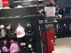 -PUMA品牌自营折扣店(武汉永旺梦乐城店)