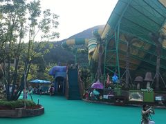 -苏州乐园森林水世界