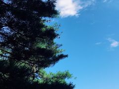 -秦岭天竺山景区