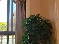 -月圆霖特色农家乐