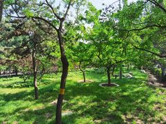 -长辛店二七公园