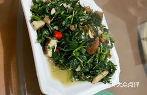 Stir-fried Malan Head菜