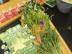鲜活五芽拼-阳坊胜利涮羊肉(阳坊老店)