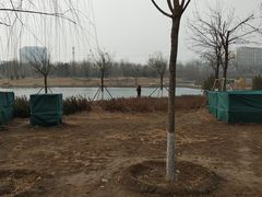 -永定河休闲森林公园