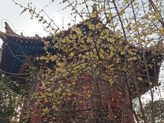 -西安碑林博物馆
