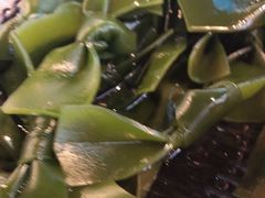 -杨家火锅(国美店)