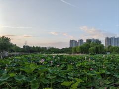 -太阳宫公园