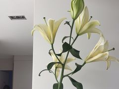 -卡罗酒店(东门晒布地铁站店)