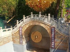 -红螺寺