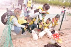 -上美四季动物农场