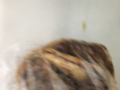 -王虎子大饼(甸柳新村五区店)