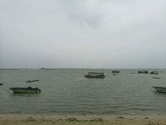-北海金海湾红树林生态旅游区