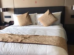 -成都保利公园皇冠假日酒店(熊猫基地店)