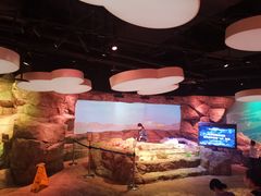 -沈阳海洋探索中心