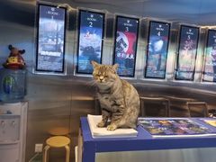 -神盾局科技密室(永川万达广场店)