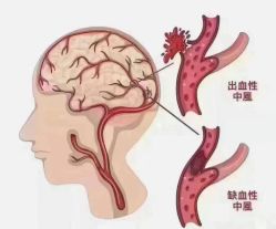 -名发世家烫染