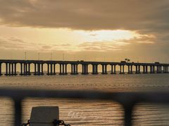 -宝安西湾红树林湿地公园