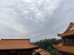 -深圳仙湖植物园