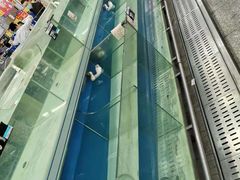 -沃尔玛(摩尔广场店)