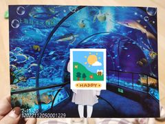 -上海海洋水族馆