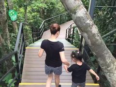 -呀诺达热带雨林