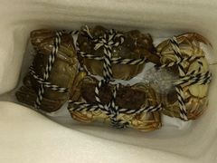 -丫丫蟹庄·苏式园林农家乐·阳澄湖大闸蟹(阳澄湖莲花岛店)