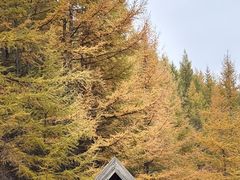 -苏木山森林公园