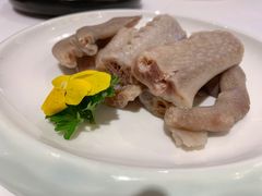 白卤水鹅掌翼-白天鹅宾馆-宏图府餐厅