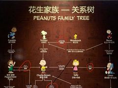 -史努比缤纷世界