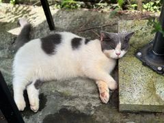 -老屋咖啡