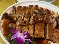 -鲤鱼塘农家山庄