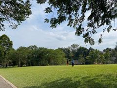 -中国科学院西双版纳热带植物园