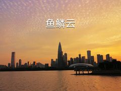 -福田红树林生态公园