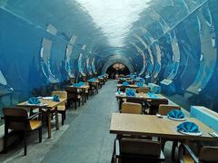-海棠湾洲际-涛·海底餐厅·美人鱼·自助餐·海底隧道