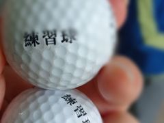 -棕榈泉国际高尔夫学院