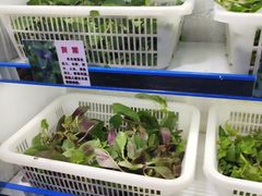 -黔府豆米火锅野菜馆(南马店)