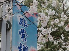 -高东镇樱花园