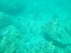 -亚龙湾海底世界