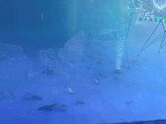 -SHRIMP CLUB万东餐饮钓虾·清吧