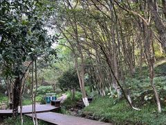 -杭州半山国家森林公园