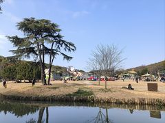 -无锡梅园公园