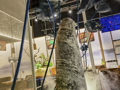 -新辣道鱼火锅(航天万源店)