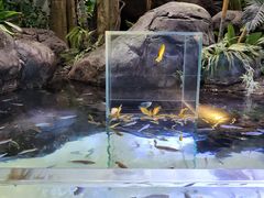 -上海海洋水族馆