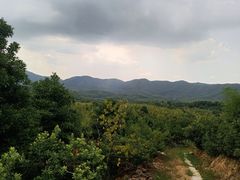 -宜兴龙背山森林公园